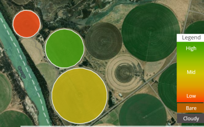 How GeoFarmer®© assists with successful crop production