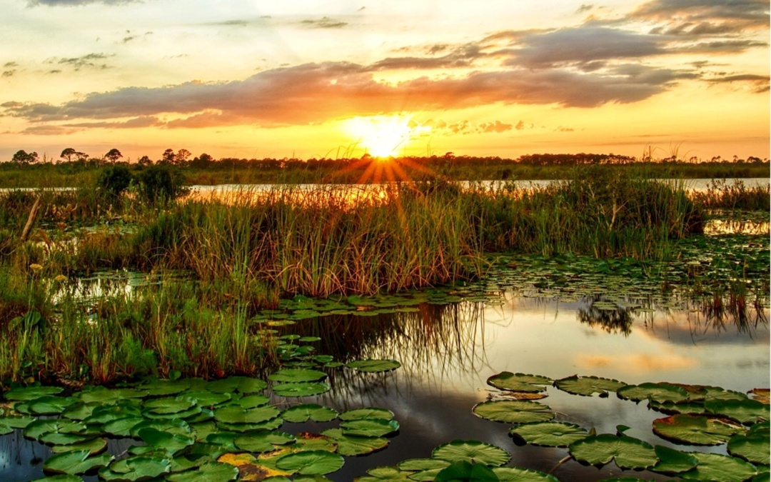 GEOFarmer™© for Wetlands