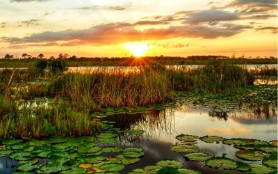 GEOFarmer™© for Wetlands