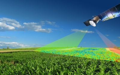 GeoFarmer Platform Takes a Closer Look at Crop Health – Now available in High Resolution