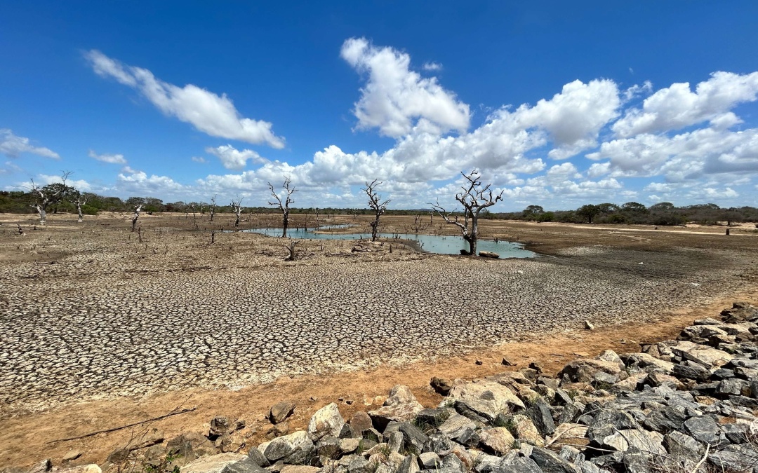 Unlocking the Potential of Water Landscape Monitoring