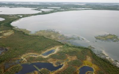 Nurturing our wetlands through evidence-based management – intelligence that is scalable across the globe