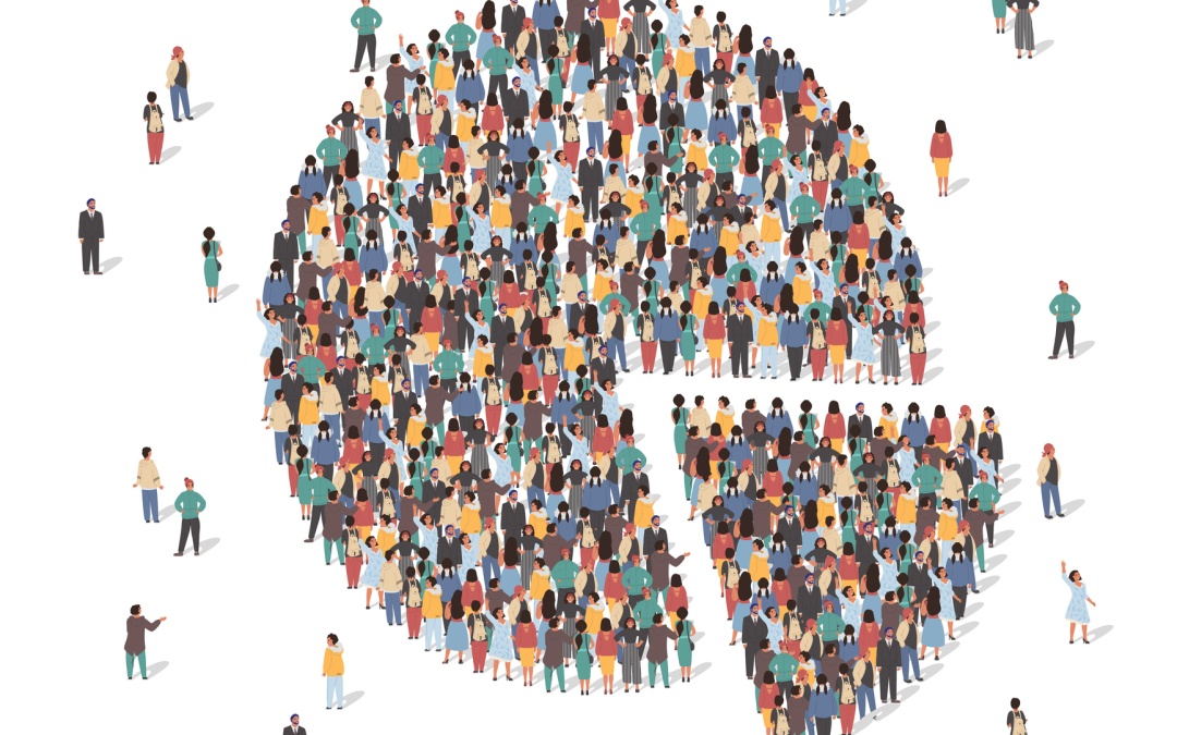 Filling the Census Data Gap with Complementary Information