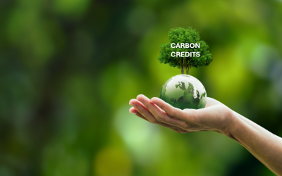 Revolutionizing Carbon Inventory Projects: GTI’s On-Demand Supply of Standardized Vegetation Biomass Inventories
