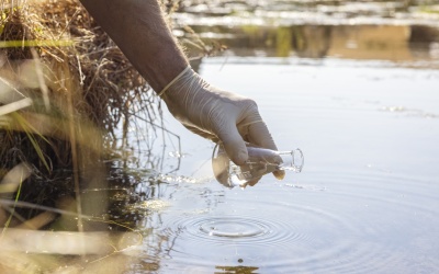 Exploring Advances in Water quality Monitoring with Satellite Imagery