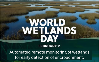 Keeping Wetlands Healthy: Monitoring Human Impact with Advanced Satellite Solutions